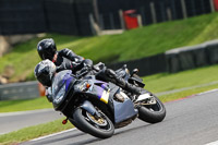 Lower Group Black Bikes